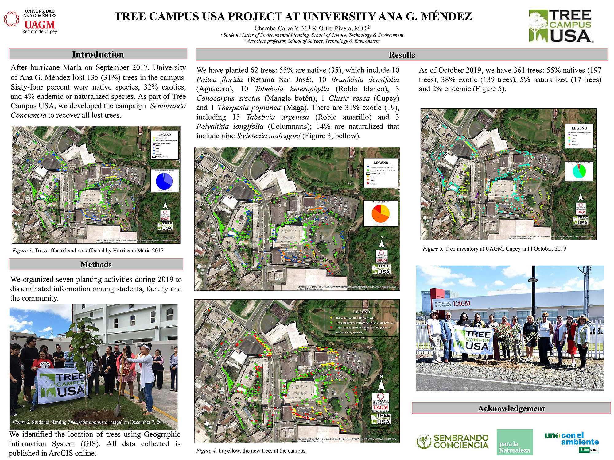 Proyecto Experiential Learning 