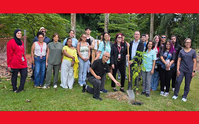 grupo de personas en siembra de árbol