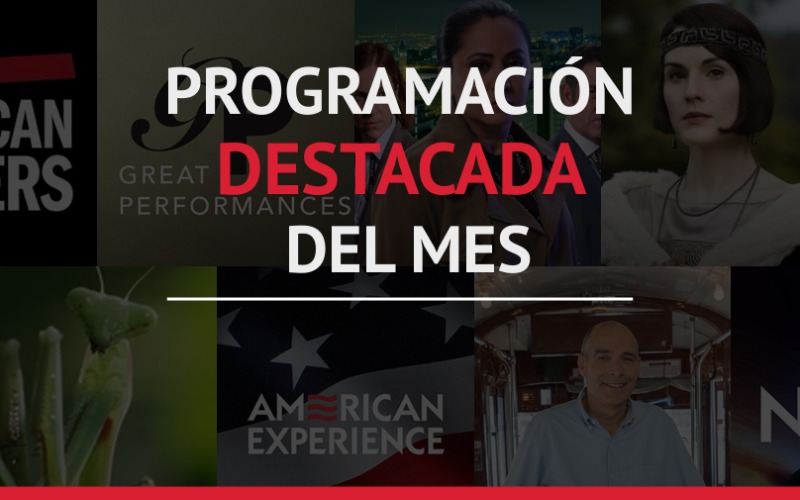 Programación de Sistema TV 