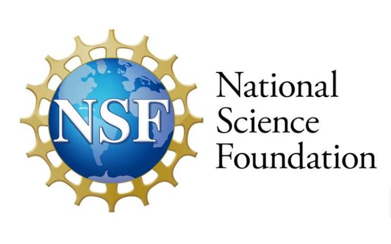 NSF