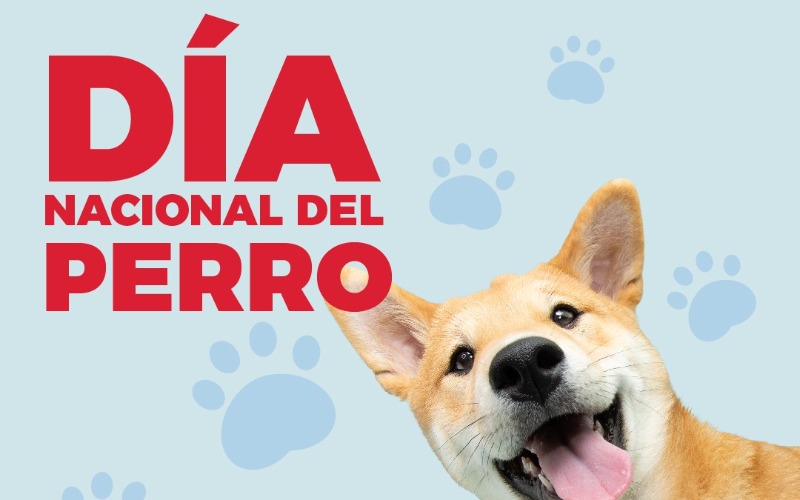 Perro