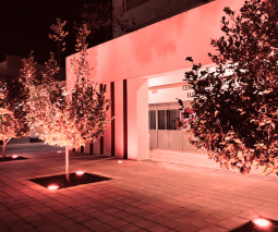 Foto de un edificio de las facilidades de UAGM iluminado de rosa