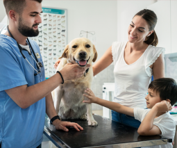 Imagen de perro sentado en la mesa del veterinario con el veterinario y su familia