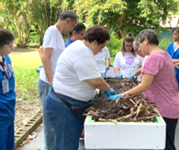 Grupo de personas trabajando juntos en una hortaliza