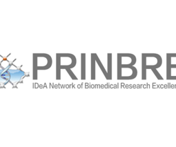logo de PRINBRE