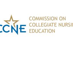 logo de CCNE