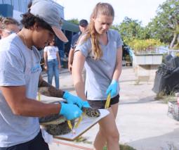 Estudiante Joshua Riollano Torres trabajando con tortuga