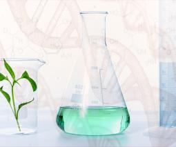 Envases de laboratorio, planta y figura de ADN