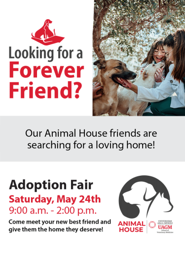 pet adoption fair - May 24th 9 am - 2 pm 
