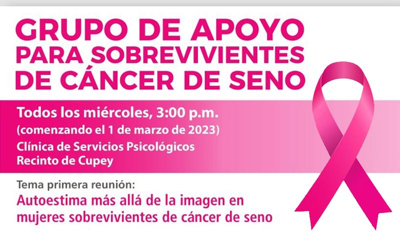 Sobrevivientes de cáncer de seno