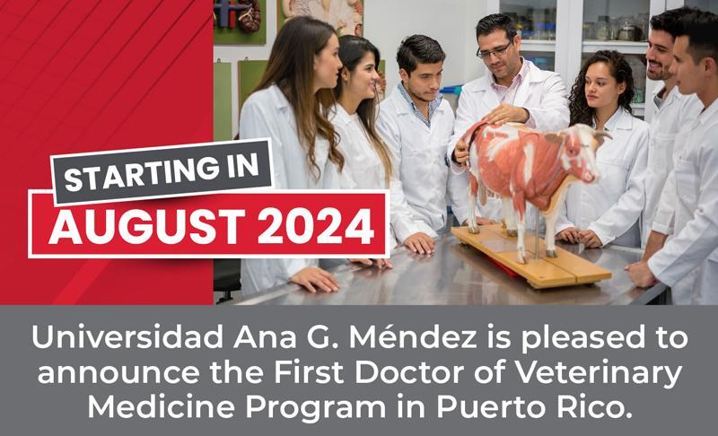 Veterinario con estudiantes