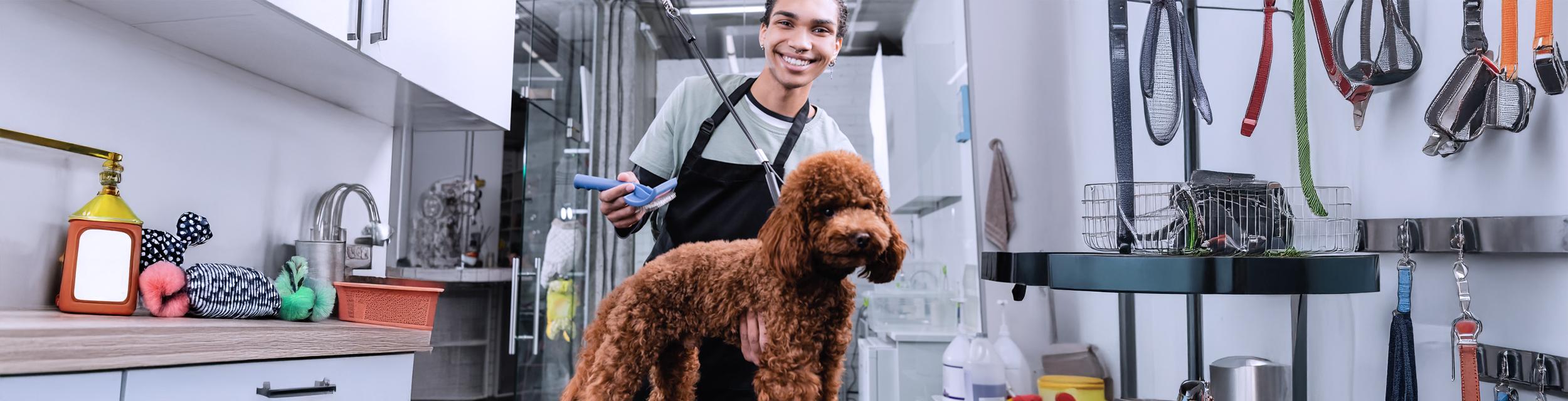 Empleado de Pet Grooming con un perro de pelo rizo color marrón