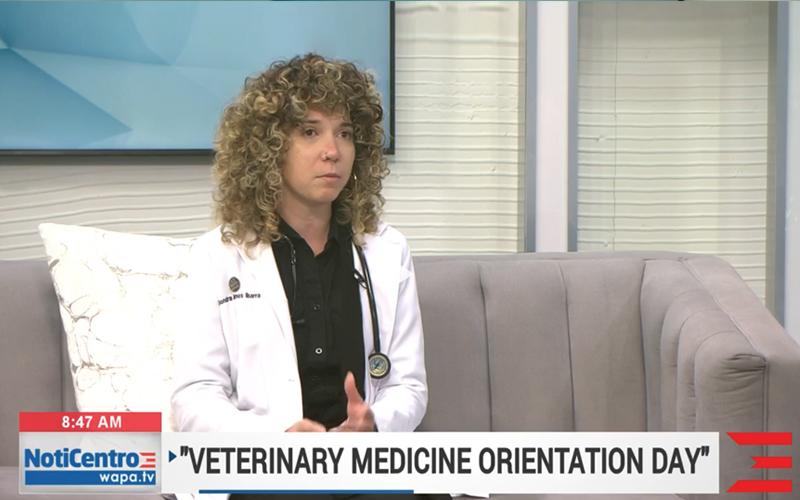 Alondra Ramos Ibarra