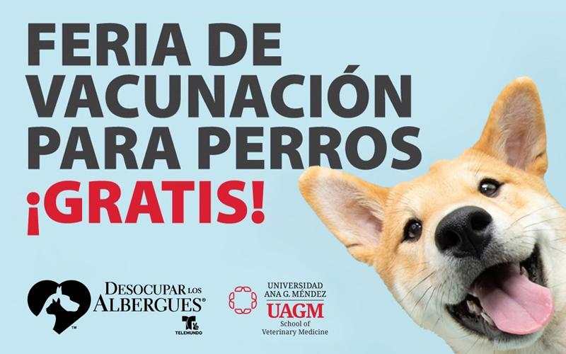 Feria de vacunación para perros
