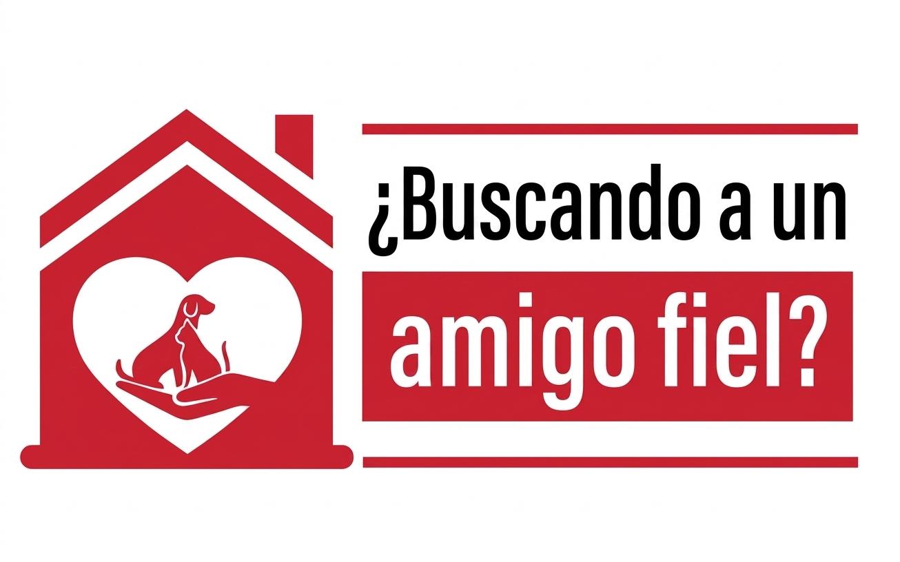 Buscando a un amigo fiel